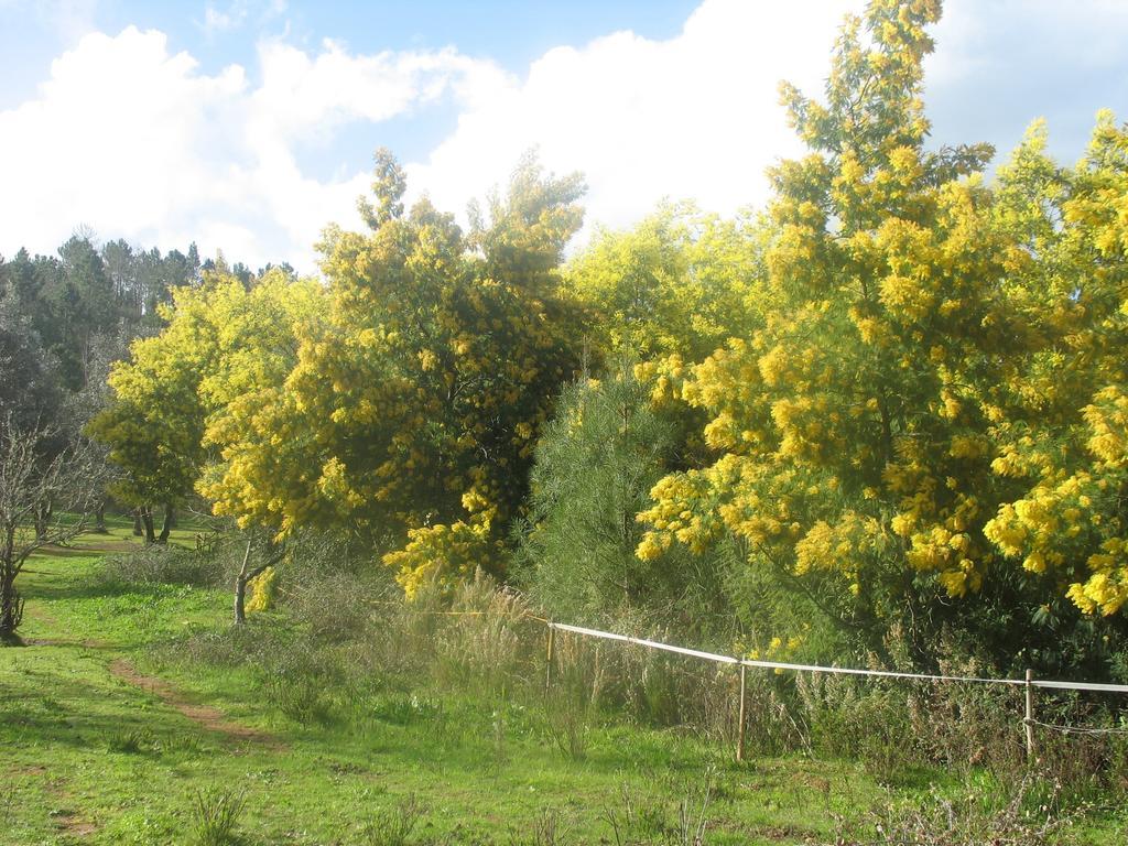 Monte Da Gravita Ribeira do Salto 客房 照片