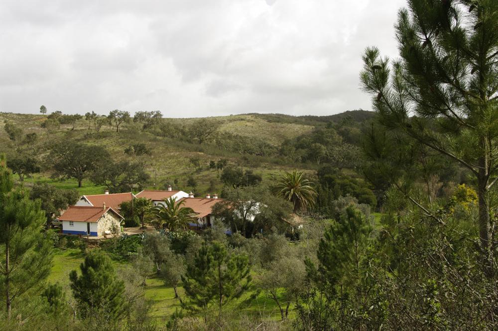 Monte Da Gravita Ribeira do Salto 客房 照片