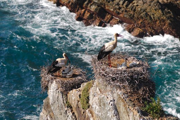 Monte Da Gravita Ribeira do Salto 外观 照片