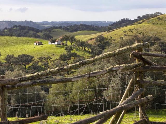 Monte Da Gravita Ribeira do Salto 外观 照片